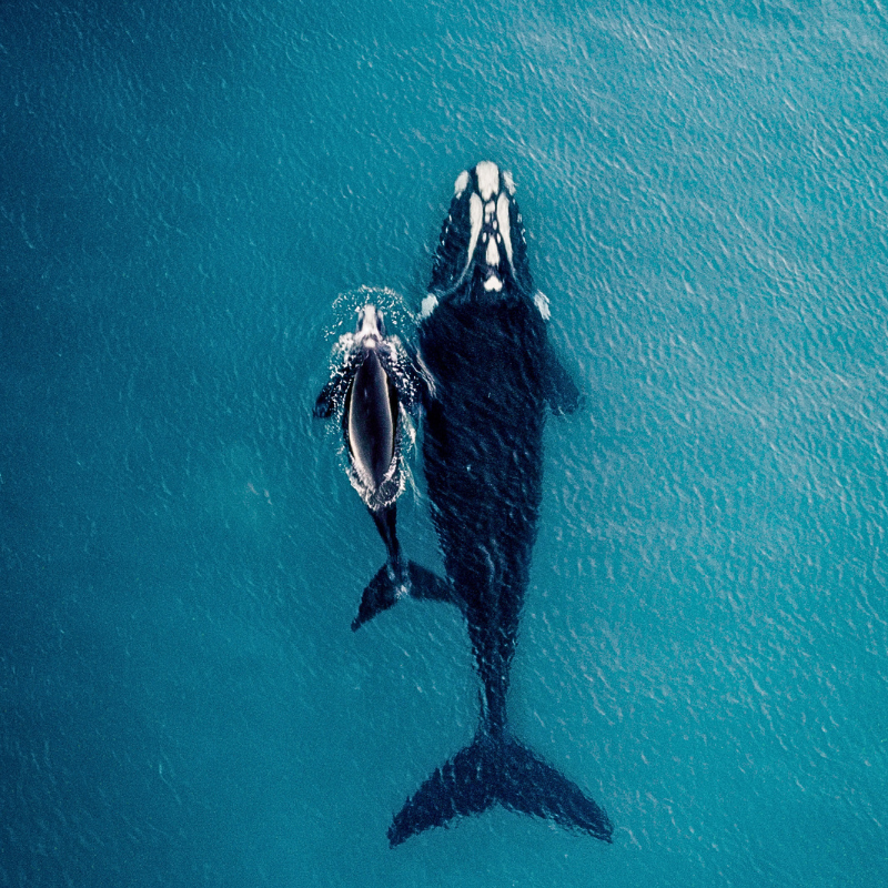 Beyond the Deep